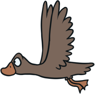 duck