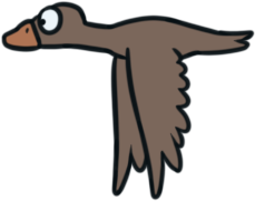 duck